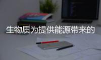 生物质为提供能源带来的经济效应规模